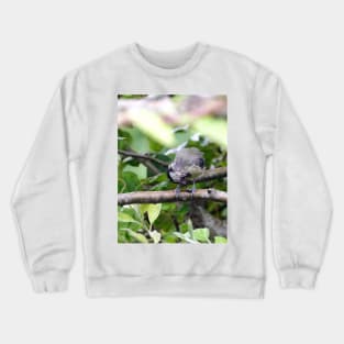 NEW  THE PANASONIC FZ 1000 PAR OKAIO CREATION Crewneck Sweatshirt